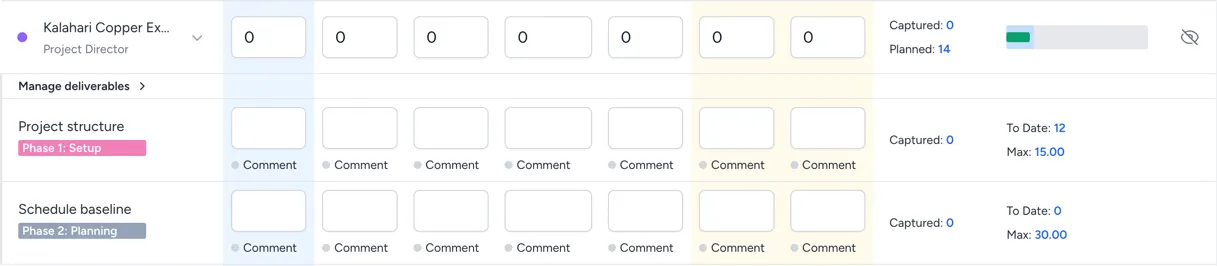 The example project shown in an employee timesheet